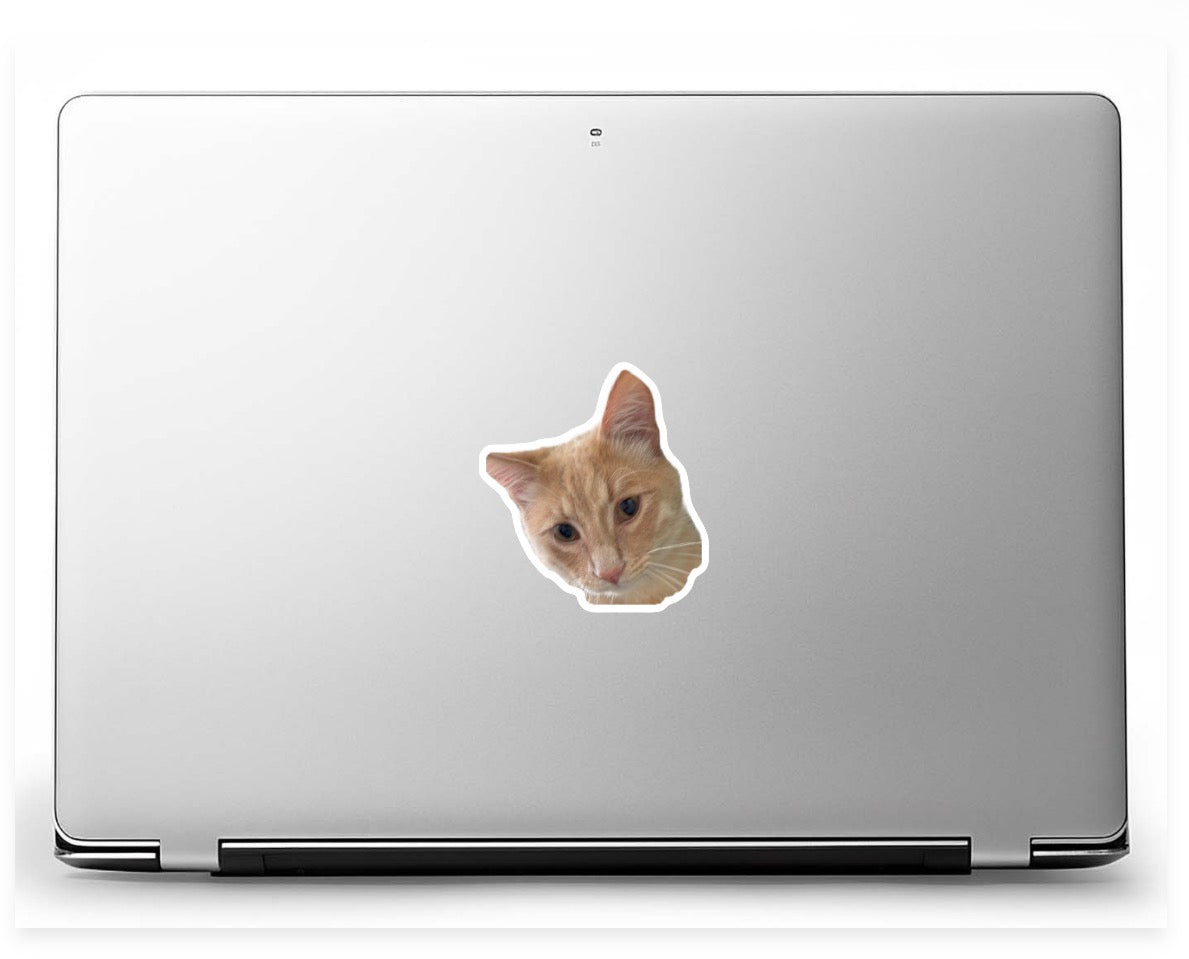 Custom Pet Face Stickers