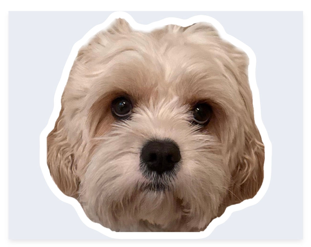 Custom Pet Face Stickers