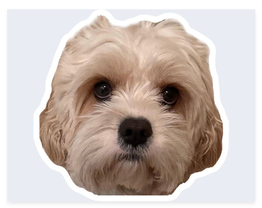 Custom Pet Face Stickers