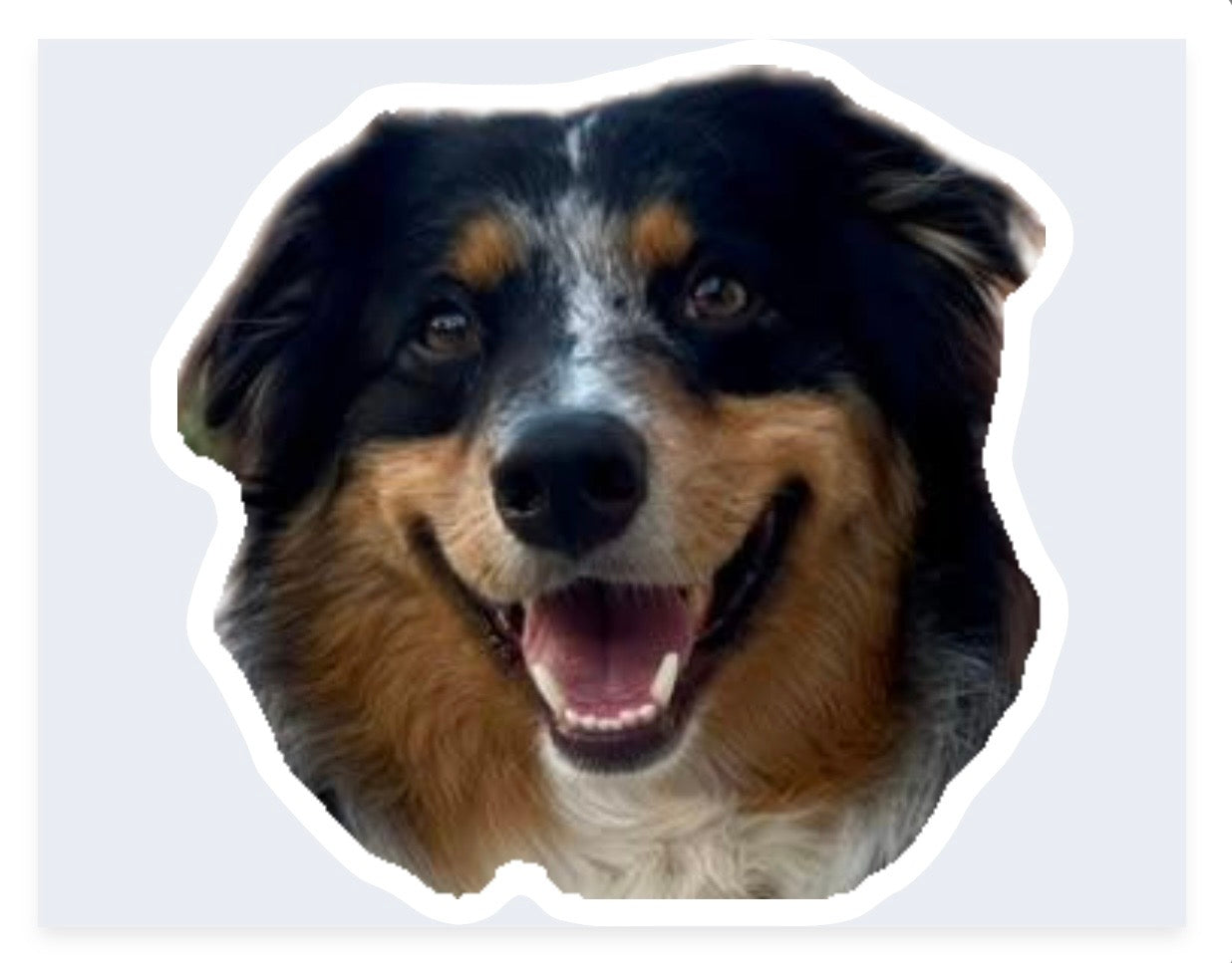 Custom Pet Face Stickers