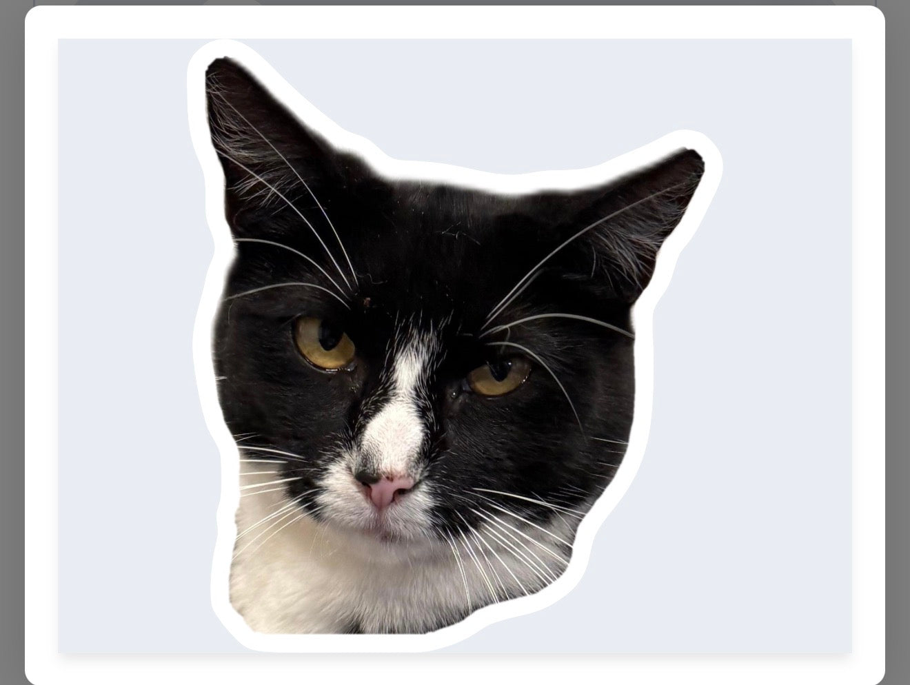 Custom Pet Face Stickers