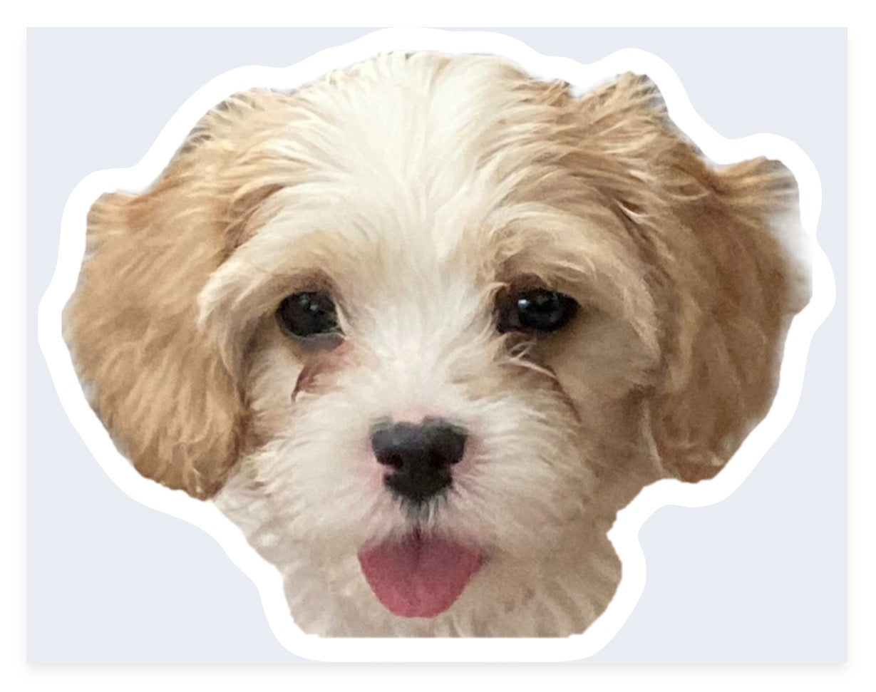 Custom Pet Face Stickers
